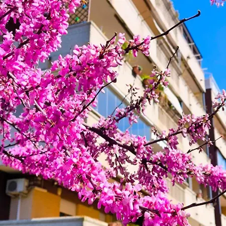 Rome Sweet Apartment Vitinia